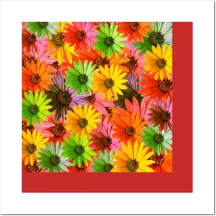 colorful flowers Posters and Art